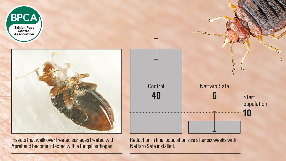 bugging c3